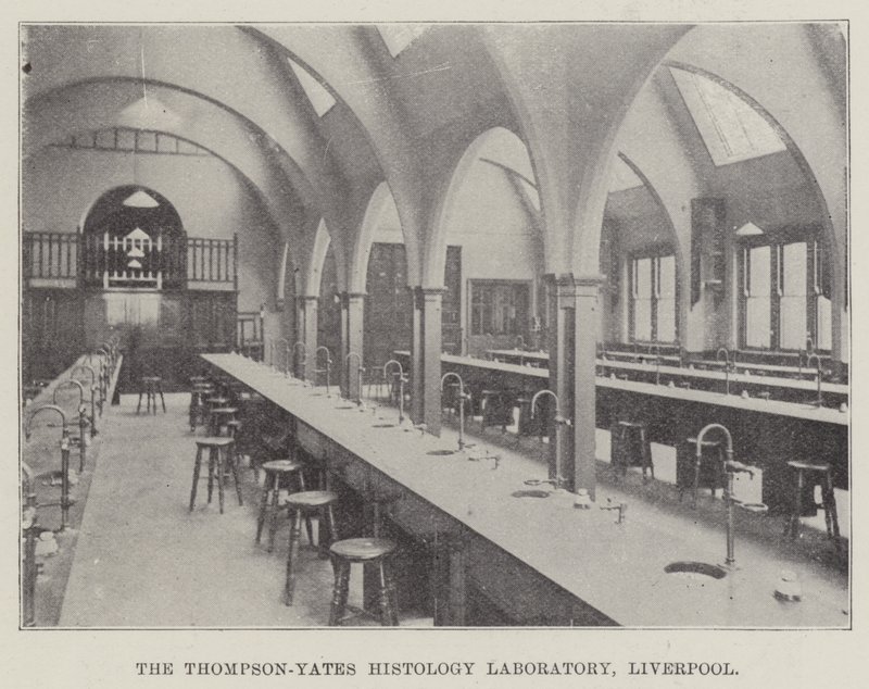 Závěsný od English School