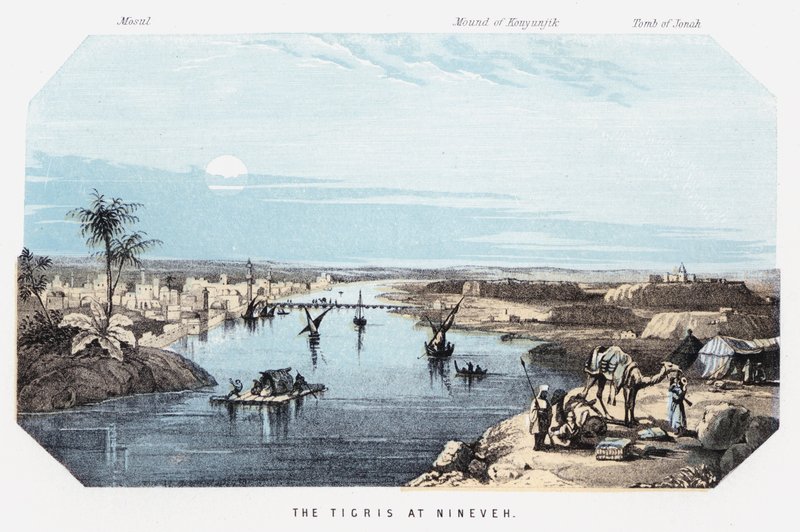 Tigris v Ninive (barevná rytina) od English School
