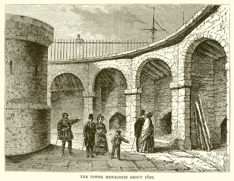 Tower Menagerie kolem roku 1820 od English School