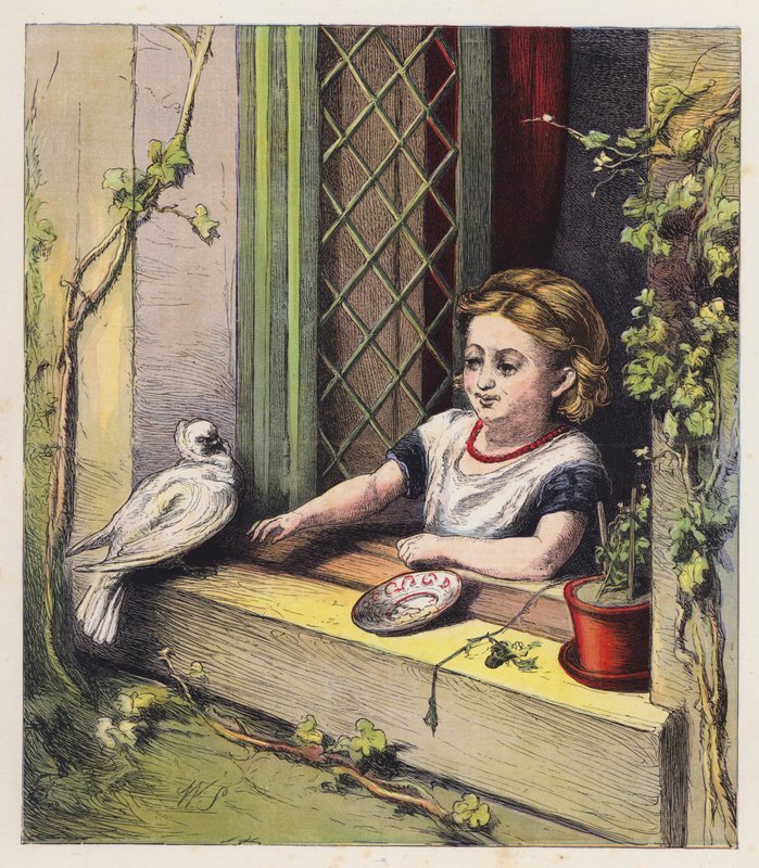 Bílá holubice (barevná litografie) od English School