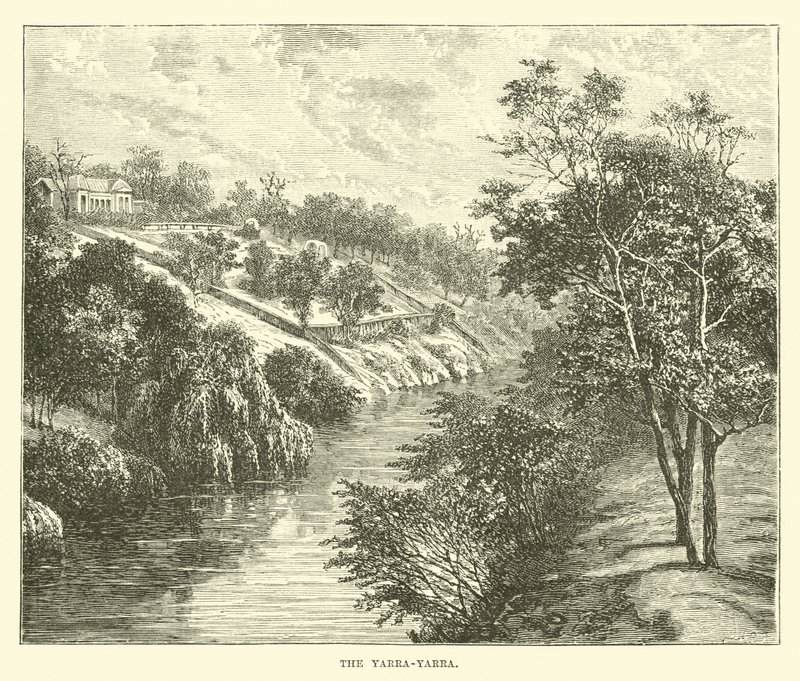 Yarra-yarra od English School