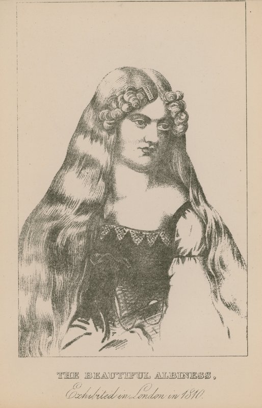 Krásná albiness, vystavená v Londýně v roce 1810 od English School