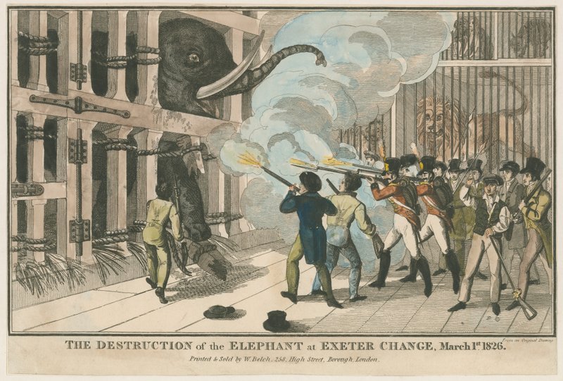 Zničení slona v Exeter Change, 1. března 1826 od English School