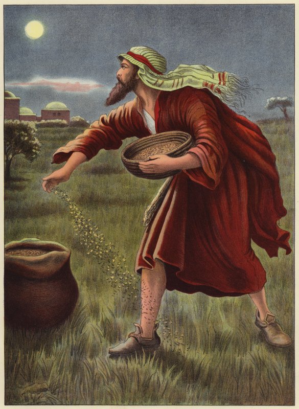 Nepřítel seje koukol (barva litho) od English School