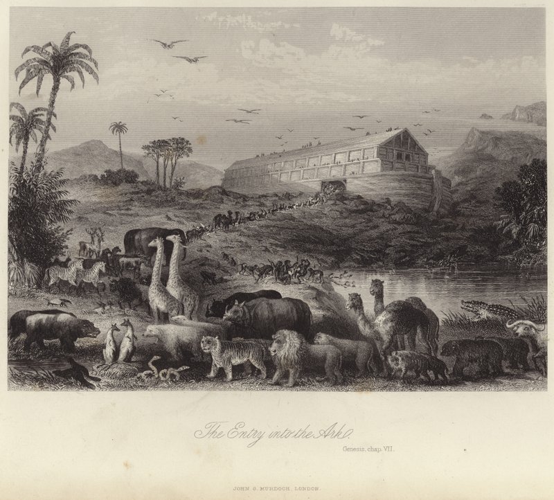 Vstup do archy od English School