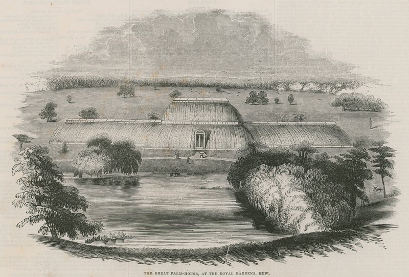 Velký Palm House v Royal Gardens, Kew, Londýn od English School