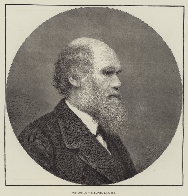 Zesnulý pan CR Darwin, FRS, LLD od English School