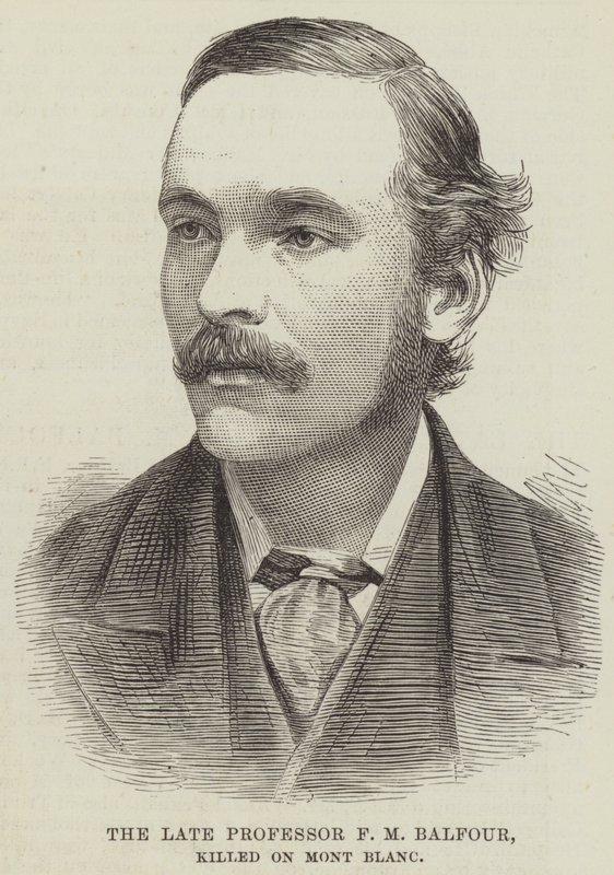 Zesnulý profesor F M Balfour, zabit na Mont Blanc (rytina) od English School