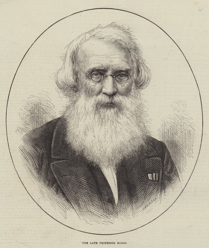 Zesnulý profesor Morse (rytina) od English School