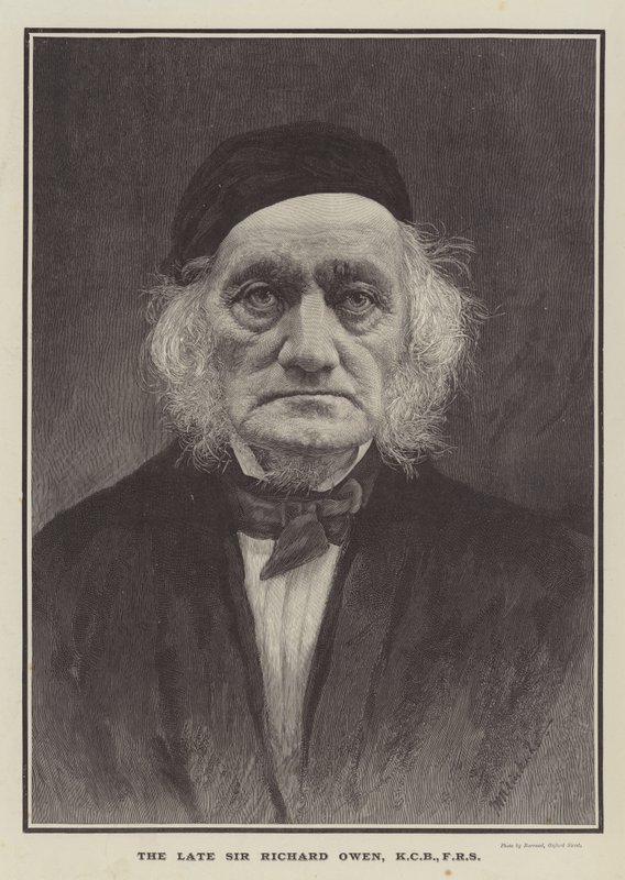 Zesnulý Sir Richard Owen, KCB, FRS (rytina) od English School