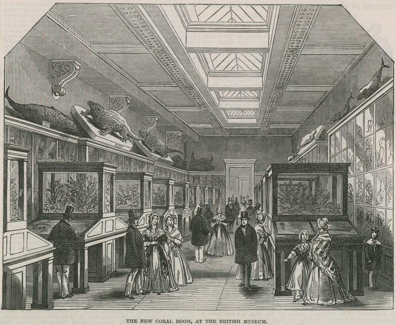 Nová Coral Room v Britském muzeu od English School