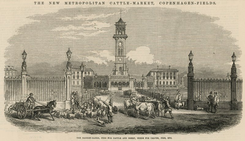 Nový metropolitní dobytčí trh, Copenhagen Fields od English School