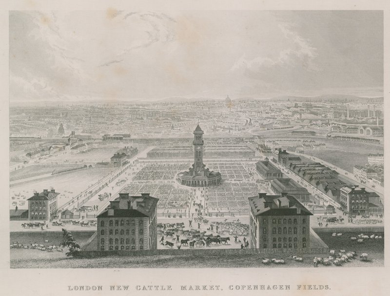 Nový Metropolitan Cattle Market, Copenhagen Fields, Londýn od English School