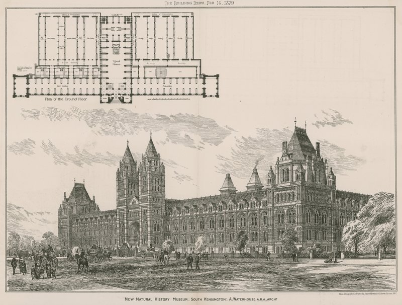 Nové přírodovědné muzeum, South Kensington, Londýn od English School