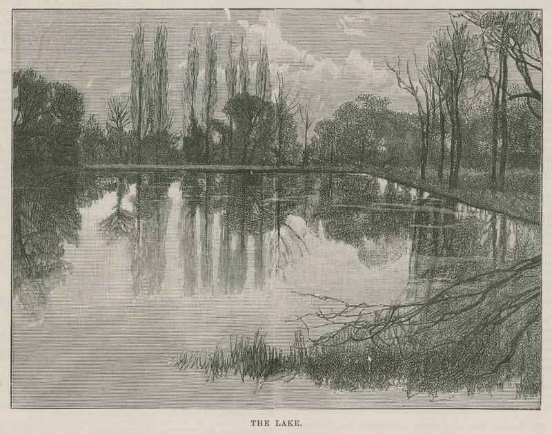 Nový veřejný park v Highgate: jezero od English School