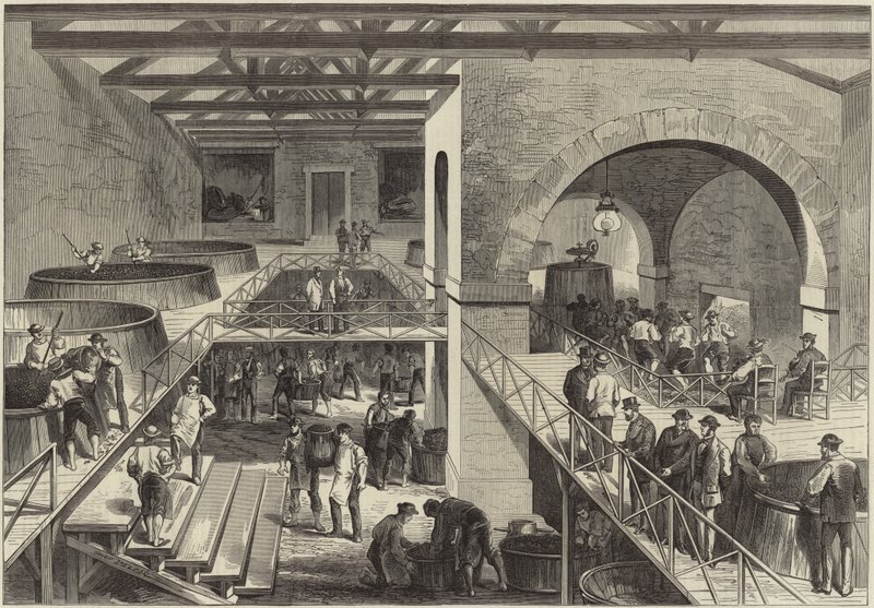 Ročník Medoc od English School