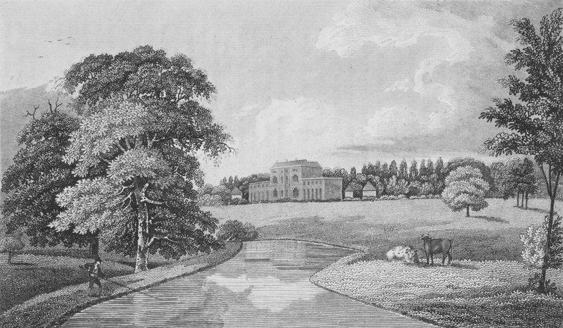 Theobalds, Hertfordshire (rytina) od English School