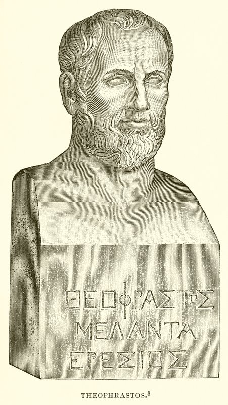 Theophrastos od English School