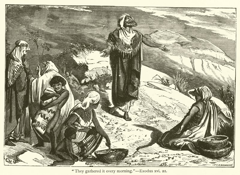 "Sbírali to každé ráno", Exodus, xvi, 21 (rytina) od English School
