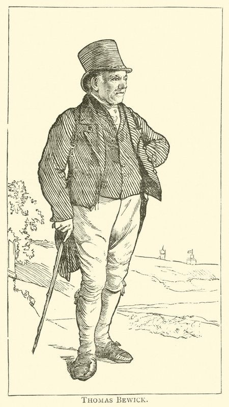 Thomas Bewick (rytina) od English School