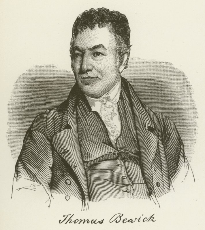 Thomas Bewick (rytina) od English School