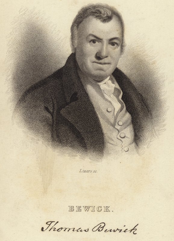 Thomas Bewick od English School