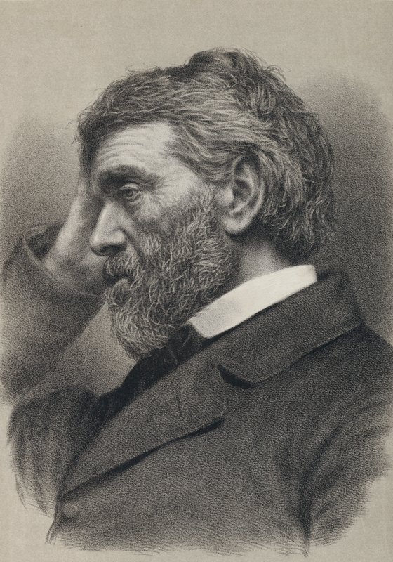 Thomas Carlyle (rytina) od English School