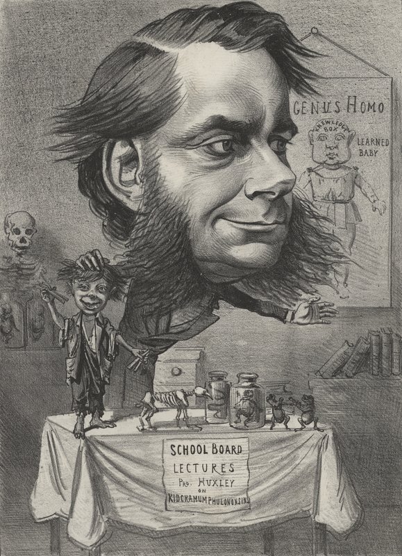 Thomas Henry Huxley , anglický biolog od English School