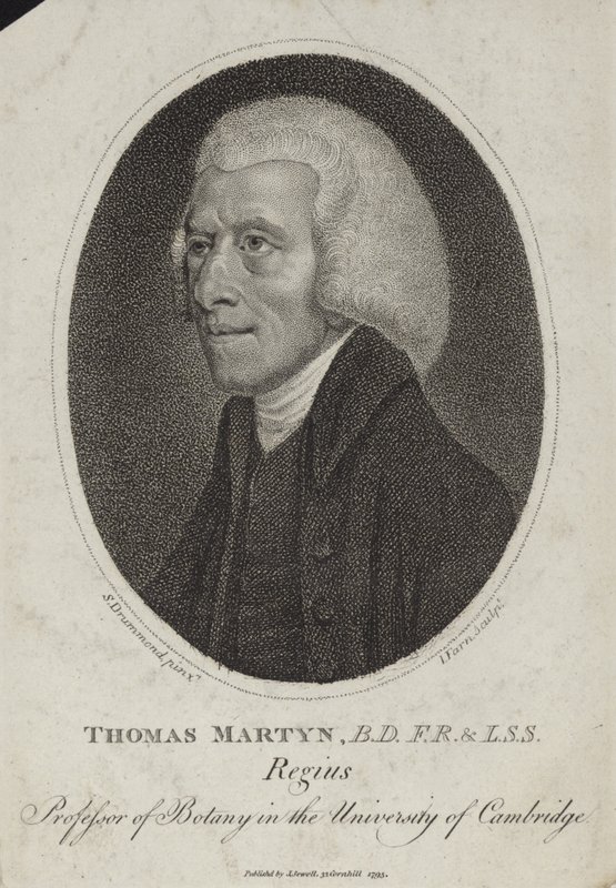 Tomáš Martyn od English School