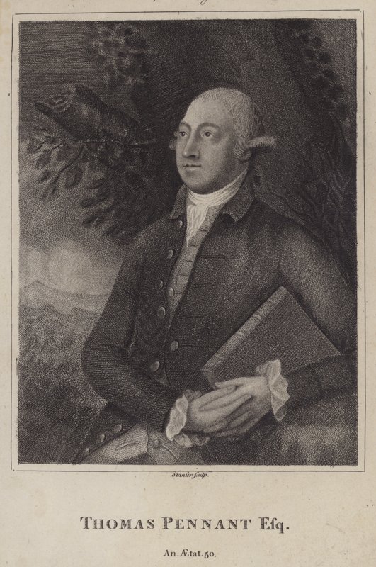 Thomas Pennant , velšský přírodovědec a topograf (rytina) od English School