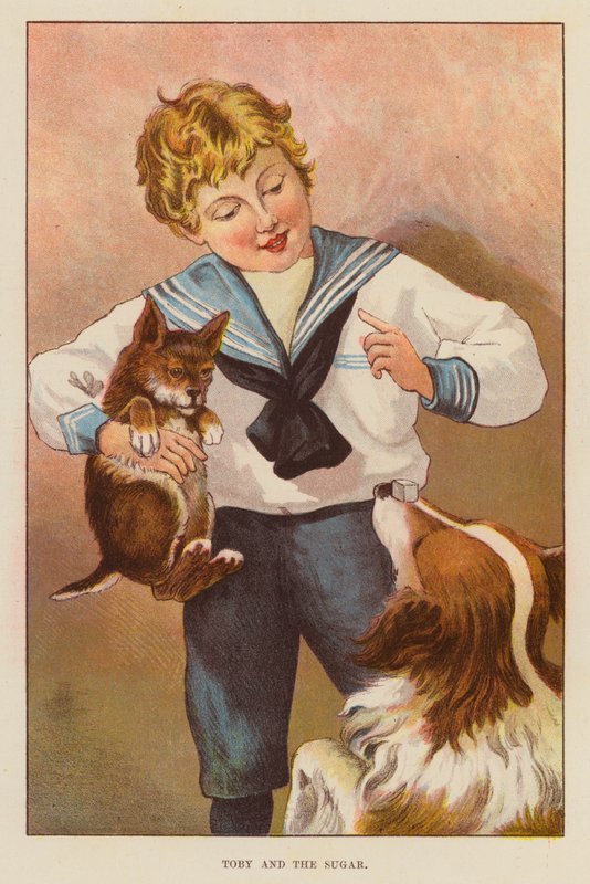 Toby a cukr (barva litho) od English School