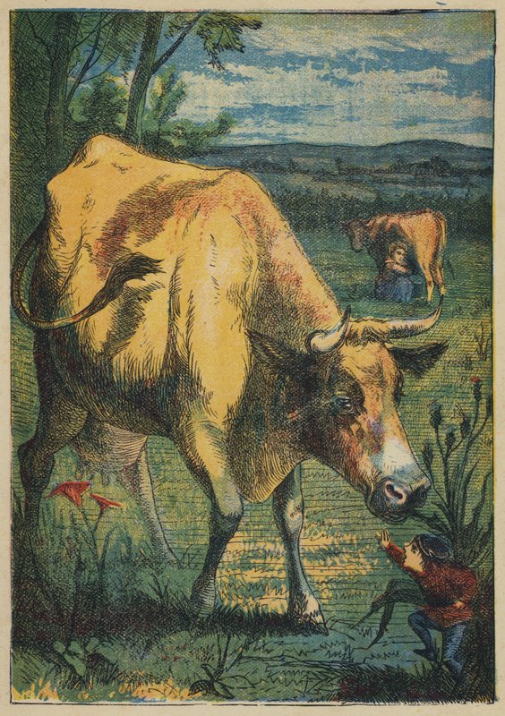 Tom Thumb and the Cow (barva lito) od English School