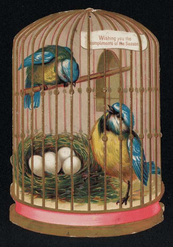 Dvě modré sýkory v kleci, vánoční přání (chromolitho) od English School