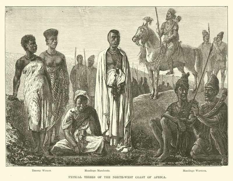 Typické kmeny severozápadního pobřeží Afriky od English School