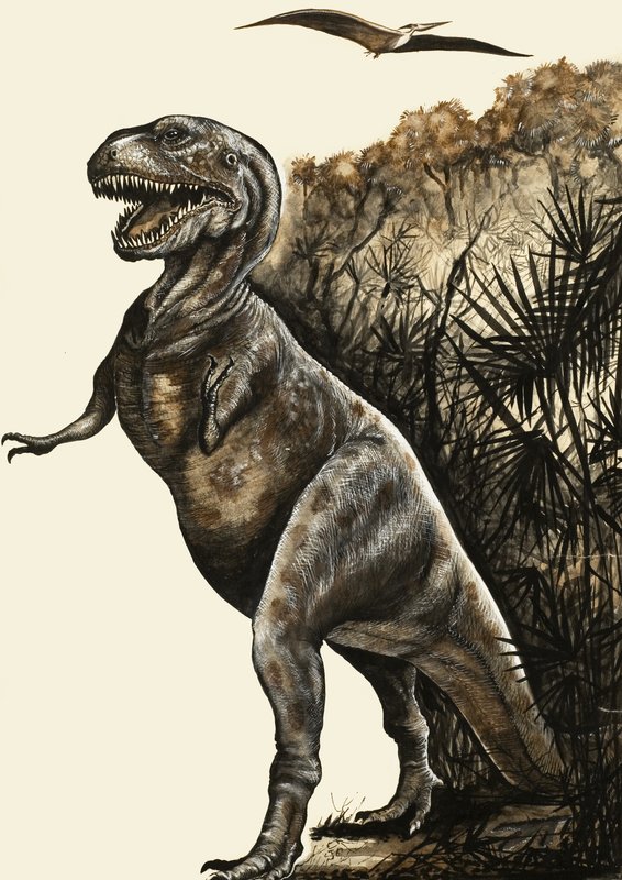 Tyrannosaurus rex od English School