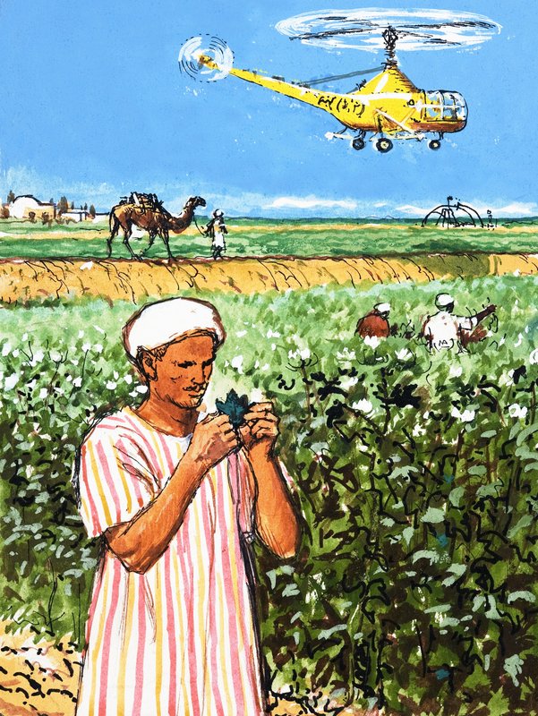 Neznámý arabský farmář s velbloudem a vrtulníkem v pozadí od English School