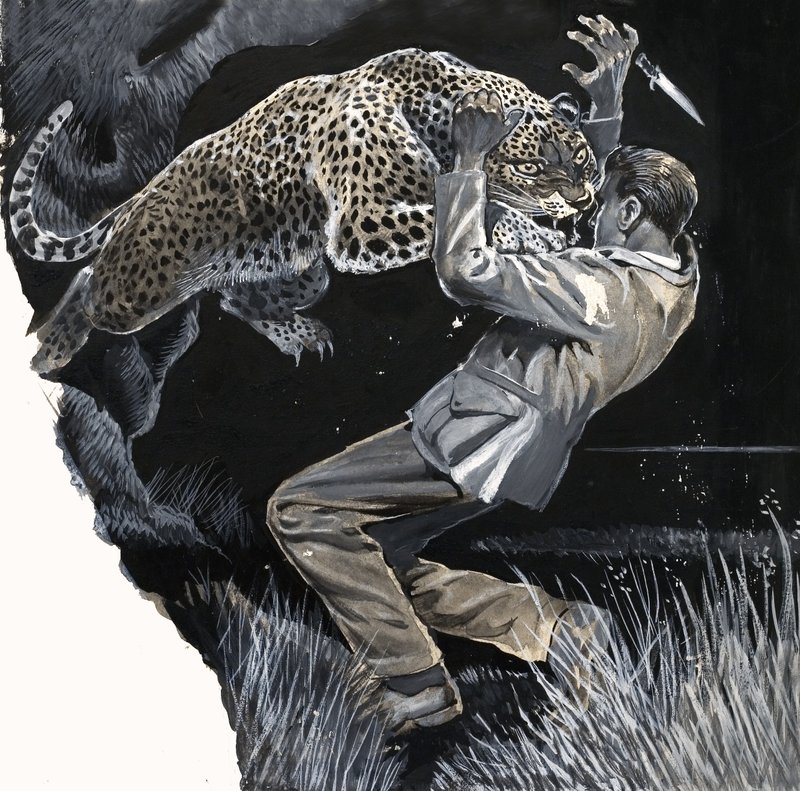 Neznámý muž je napaden leopardem od English School