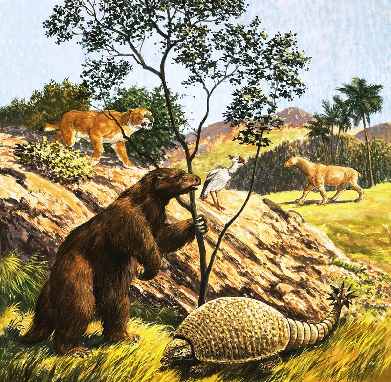 Neznámí prehistoričtí tvorové od English School