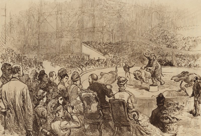 Návštěva prince a princezny z Walesu a řeckého krále a královny, 1876 od English School