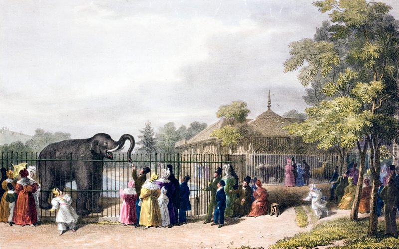 Návštěvníci londýnské zoo v Regent
