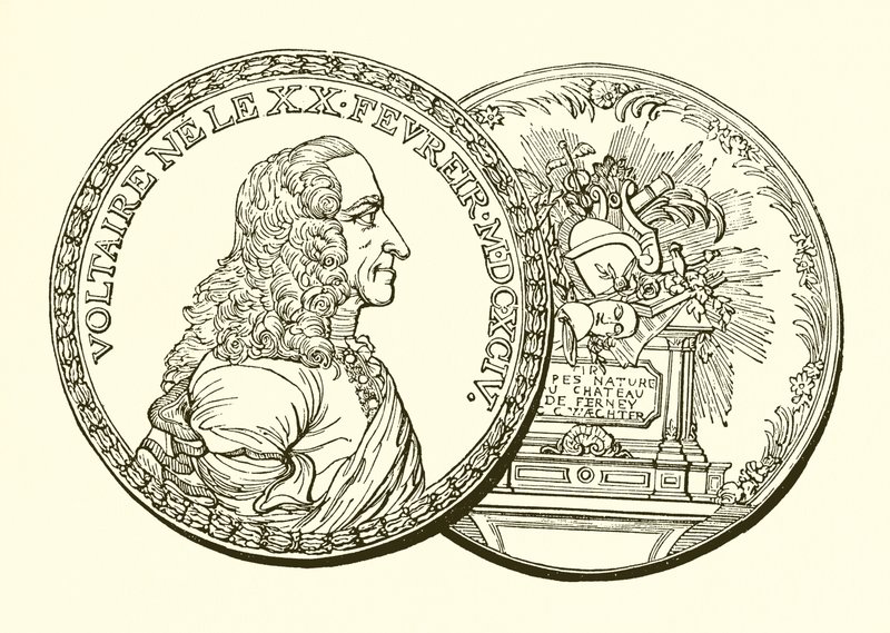 Voltaire od English School