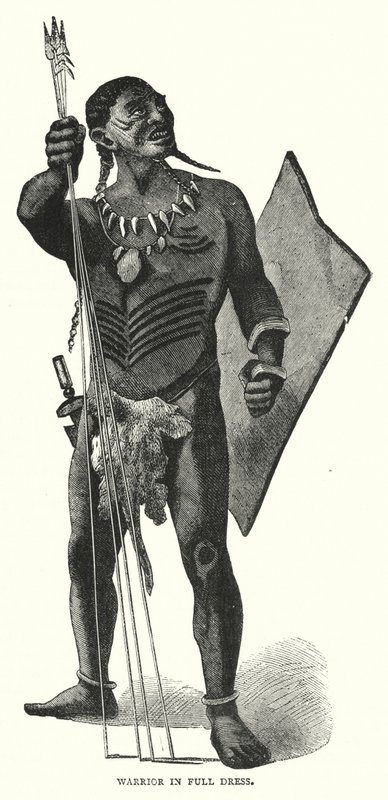 Warrior in Full Dress (rytina) od English School