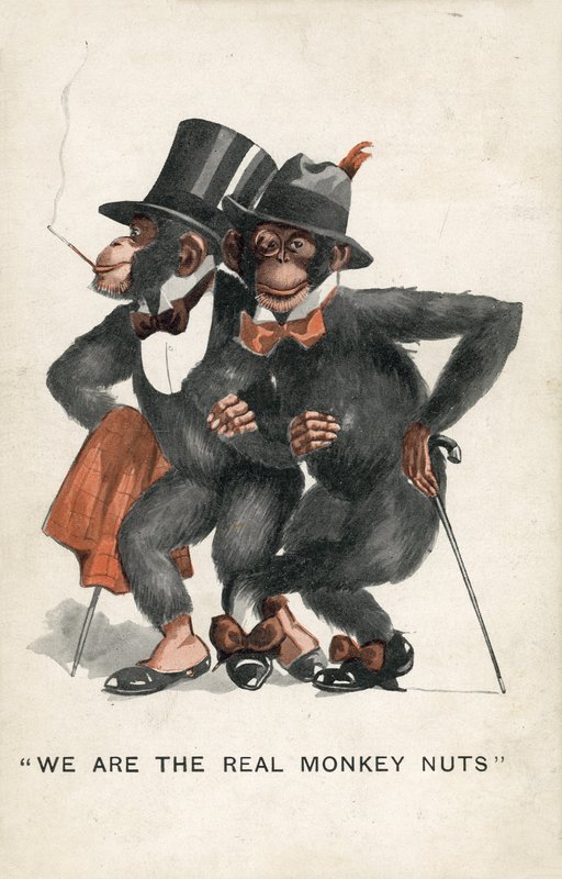 Jsme skutečné opičí ořechy (barva litho) od English School