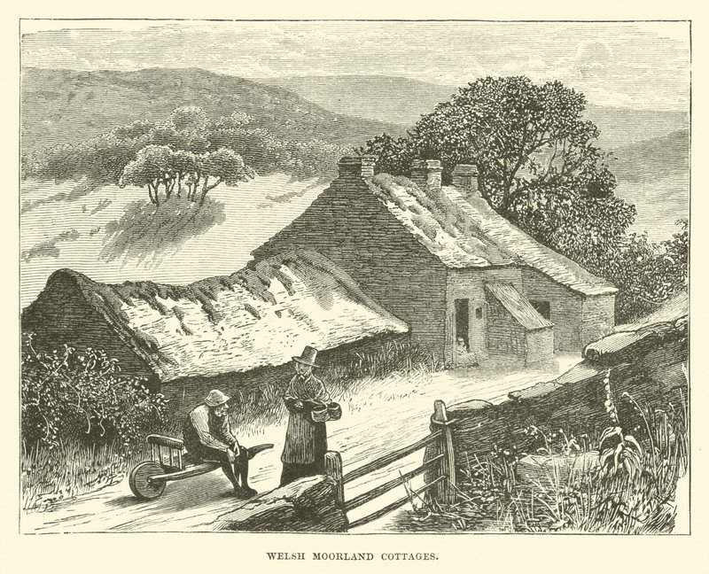 Chaty Welsh Moorland od English School