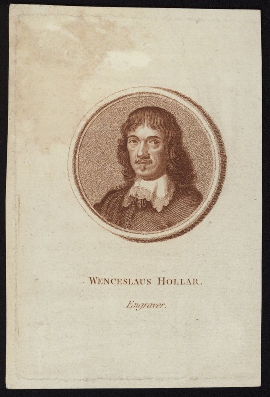 Václav Hollar od English School