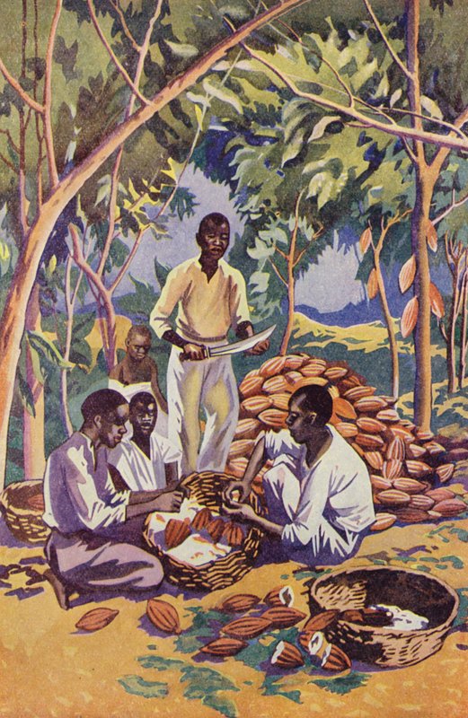 Západní Afrika, otevírání kakaových lusků (barevná litografie) od English School