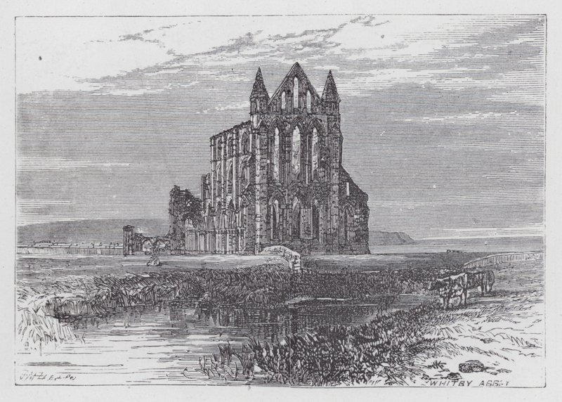 Whitby Abbey (rytina) od English School