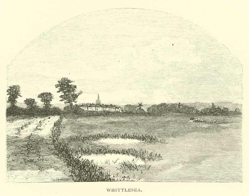 Whittlesea od English School