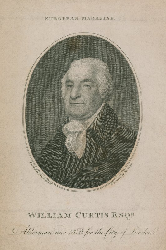 William Curtis, Alderman a poslanec za City of London; Lord starosta Londýna 1788 od English School