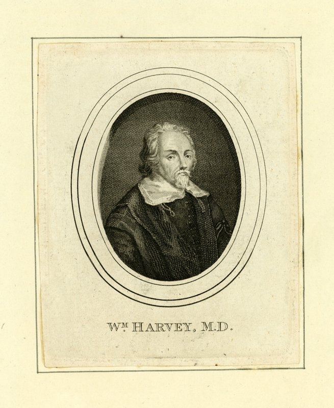 William Harvey od English School